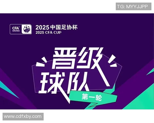 中国足协杯最新排名分析及各队表现总结